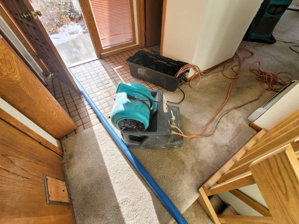 Water damage restoration experts in Towamensing Trails, PA