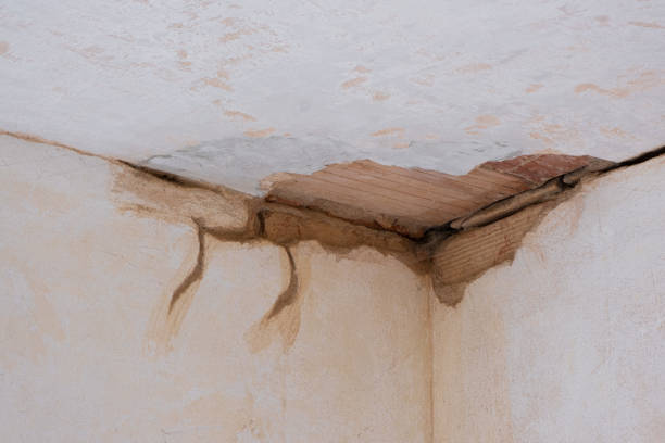 Best Basement water damage restoration  in Towamensing Trails, PA