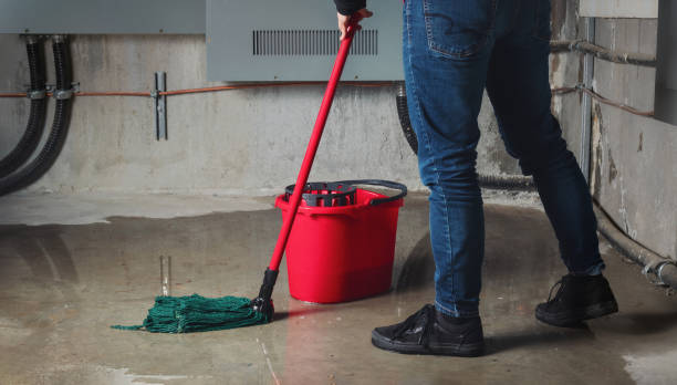 Best Basement water damage restoration  in Towamensing Trails, PA