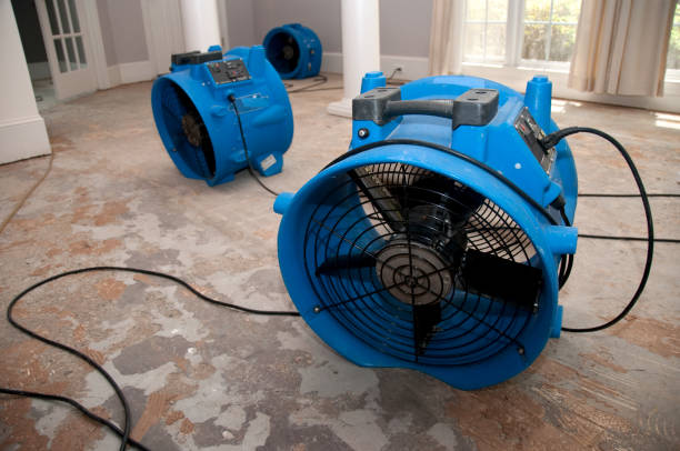 Professional Water damage restoration in Towamensing Trails, PA