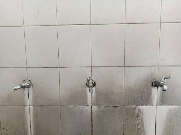 Best Mold removal after water damage  in Towamensing Trails, PA