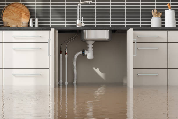 Best Water damage restoration services  in Towamensing Trails, PA